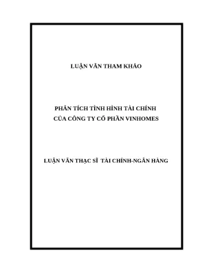 Phân tích Tài chính Vingroup: Báo cáo Luận Văn Thạc sĩ