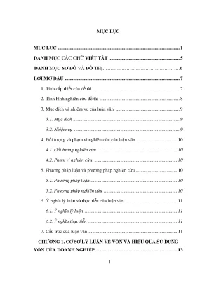 Tối ưu hóa hiệu quả sử dụng vốn tại tổng công ty phân 