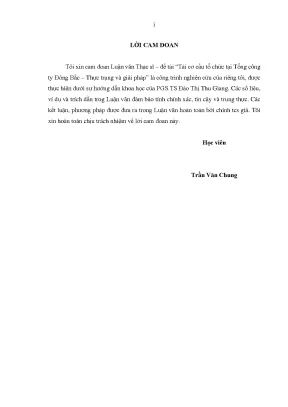 Tái Cơ Cấu Tổ Chức Tổng Công Ty Đông Bắc: Thực Trạng và