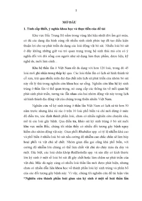 Phân tích Loài Giun Sán Ký Sinh ở Thằn Lằn Bắc Trung Bộ 