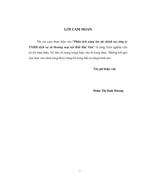 Phân Tích Năng Lực Tài Chính Công Ty TNHH Dịch Vụ Thương 