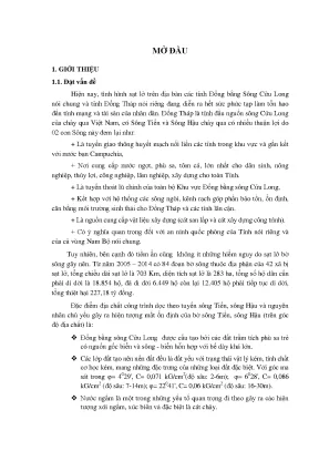 Nghiên cứu phương pháp chống sạt lở bờ sông Đồng Tháp