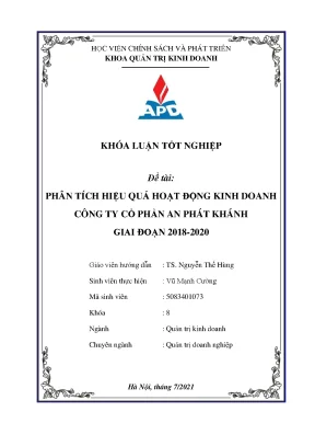 Phân Tích Hiệu Quả Kinh Doanh Công Ty An Phát Giai Đoạn