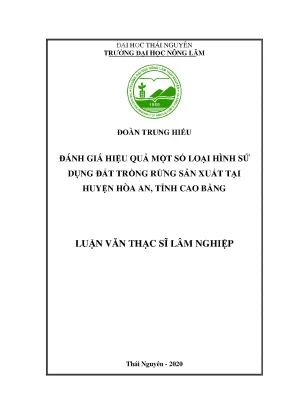 Đánh giá hiệu quả sử dụng đất trồng rừng sản xuất tại 