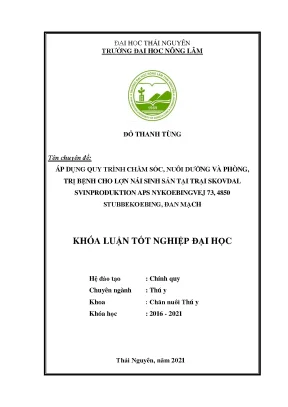 Chăm sóc và phòng trị bệnh cho lợn nái sinh sản tại trại 