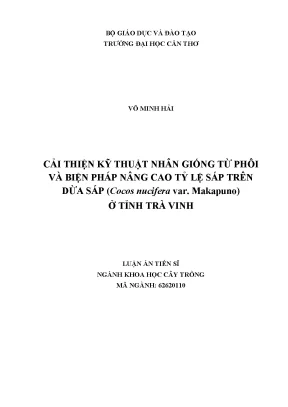 Cải thiện kỹ thuật nhân giống dừa sáp Makapuno tại Trà Vinh
