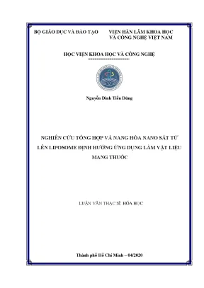 Nghiên cứu tổng hợp và nang hóa nano sắt từ trên