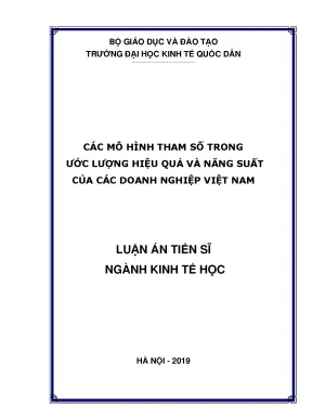 Mô hình tham số trong ước lượng hiệu quả và năng suất 