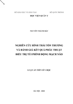 Nghiên cứu tổn thương và kết quả phẫu thuật túi phình 