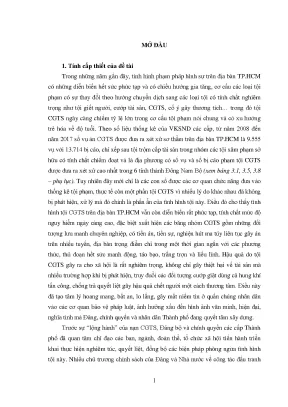 Phòng Ngừa Tội Cướp Giật Tài Sản Tại TP.HCM
