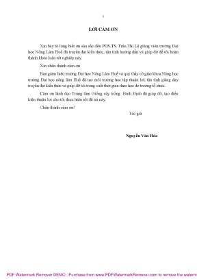 Nghiên cứu giống lúa thuần ngắn ngày năng suất cao tại 