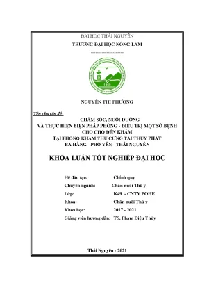 Chăm sóc và phòng trị bệnh cho chó tại phòng khám thú 