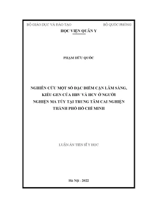 Nghiên cứu đặc điểm cận lâm sàng của HBV và HCV ở người 
