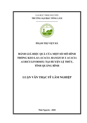 Đánh giá hiệu quả mô hình trồng keo lai acacia tại Quảng 