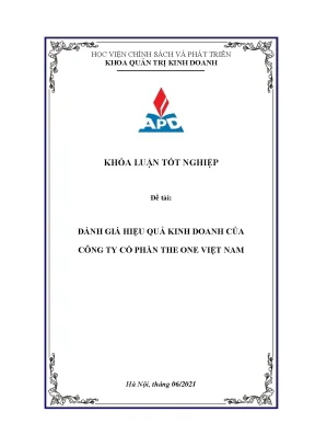 Đánh giá hiệu quả kinh doanh của Công ty Cổ phần The One 