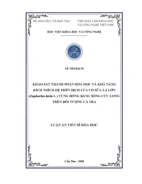 Khảo sát hóa học và tác động miễn dịch của cỏ sữa lá lớn 