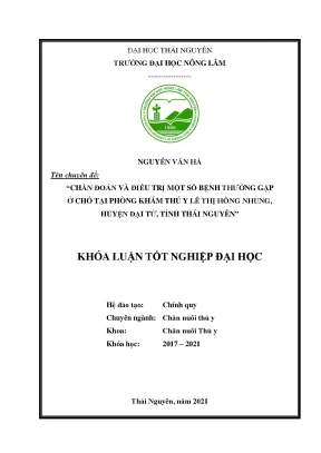 Chẩn Đoán và Điều Trị Bệnh Thường Gặp Ở Chó Tại Phòng 