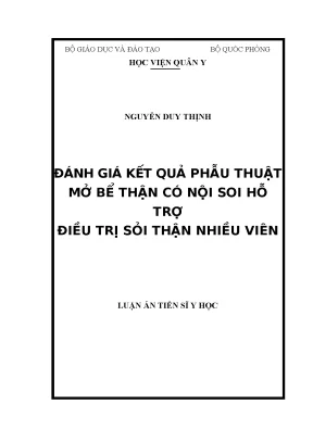 Đánh giá hiệu quả phẫu thuật mở bể thận hỗ trợ nội soi 