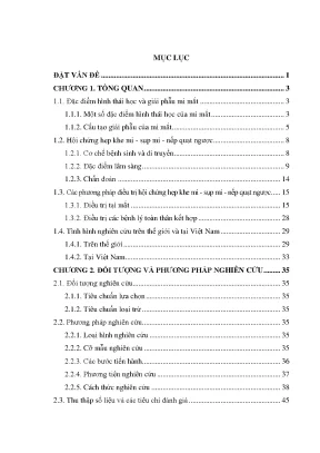 Nghiên cứu phẫu thuật điều trị hội chứng hẹp khe mi và 