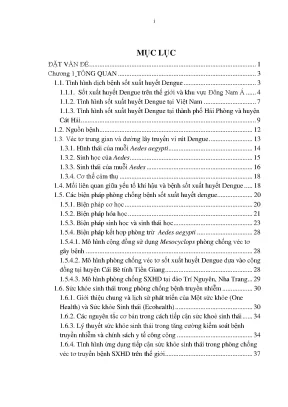 Hiệu quả ứng dụng sức khỏe sinh thái trong phòng chống 