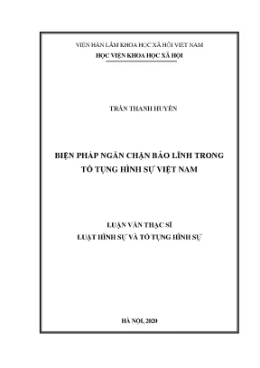 Biện Pháp Ngăn Chặn Bảo Lĩnh Trong Tố Tụng Hình Sự Việt Nam