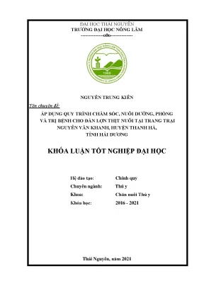 Chăm sóc và điều trị bệnh cho lợn thịt tại trang trại 