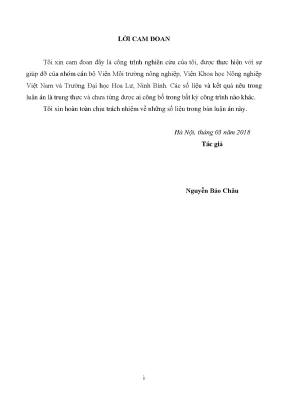 Ứng dụng vi sinh vật trong xử lý mùn cưa để nuôi trồng 