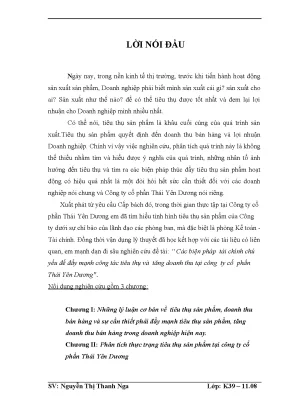 Biện pháp tài chính nâng cao doanh thu tại công ty cổ