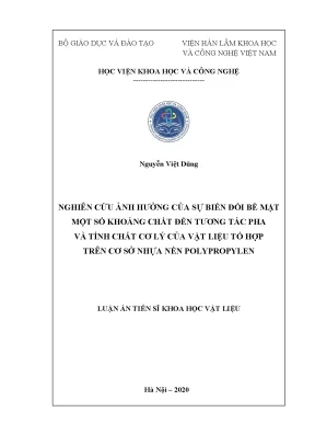 Nghiên cứu ảnh hưởng của biến đổi bề mặt khoáng chất đến 