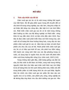 Phát triển cây họ đậu keo giậu stylosanthes làm thức ăn 
