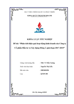 Phân Tích Hiệu Quả Kinh Doanh Công Ty Cổ Phần Đầu Tư và