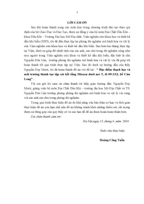 Đặc điểm thạch học và môi trường hình thành cát kết tầng 