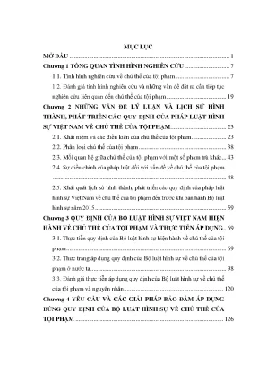 Chủ thể tội phạm trong pháp luật hình sự Việt Nam