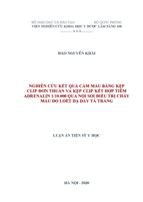 Nghiên cứu hiệu quả cầm máu bằng kẹp clip và tiêm 