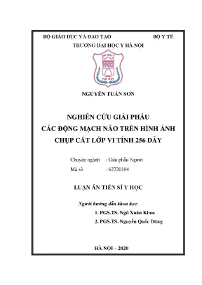 Nghiên cứu giải phẫu động mạch não qua chụp cắt lớp vi 