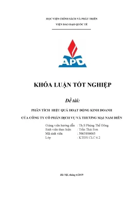 Phân Tích Hiệu Quả Kinh Doanh Công Ty Cổ Phần Dịch Vụ
