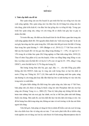 Nghiên cứu sinh học sinh thái của ong Anisopteromalus 