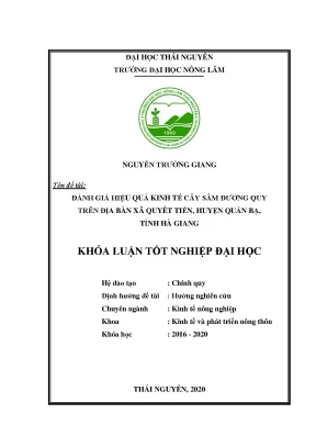 Đánh giá hiệu quả kinh tế cây sâm đương quy tại xã Quyết 