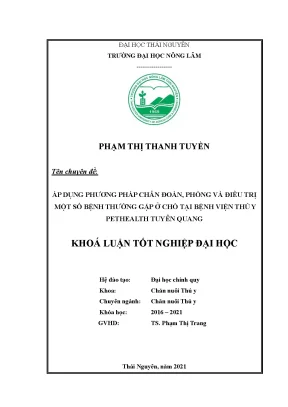 Chẩn Đoán và Điều Trị Bệnh Thường Gặp Ở Chó Tại Bệnh 
