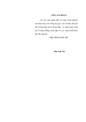 Luận án tiến sĩ nâng cao chất lượng lãnh đạo xây dựng lực lượng dân quân của các đảng ủy xã phường thị trấn trên địa bàn quân khu 3 hiện nay