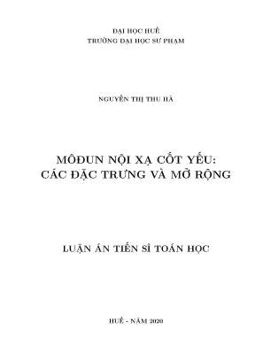 Môđun Nội Xạ: Các Đặc Trưng Cốt Yếu và Mở Rộng