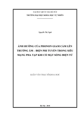 Ảnh hưởng của phonon giam cầm đến trường âm điện phi 