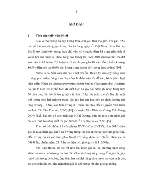 Nghiên cứu sinh học và biện pháp phòng chống nhện gié 