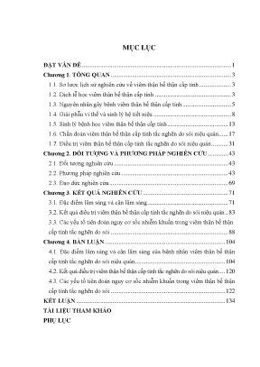 Kết quả điều trị viêm thận bể thận cấp do sỏi niệu quản