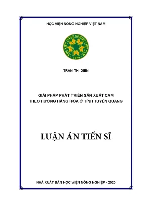 Giải Pháp Phát Triển Sản Xuất Cam Hàng Hóa Tại Tỉnh 