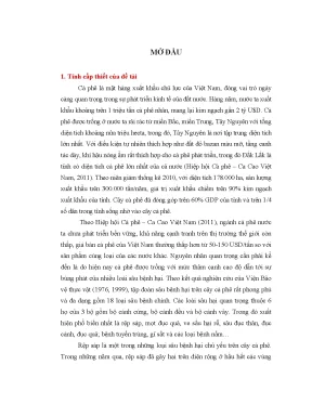 Sử dụng nấm Metarhizium anisopliae và Beauveria bassiana 