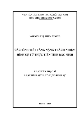 Tình tiết tăng nặng trách nhiệm hình sự tại Bắc Ninh: 