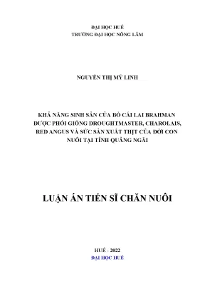 Khả năng sinh sản và sức sản xuất thịt của bò cái lai 