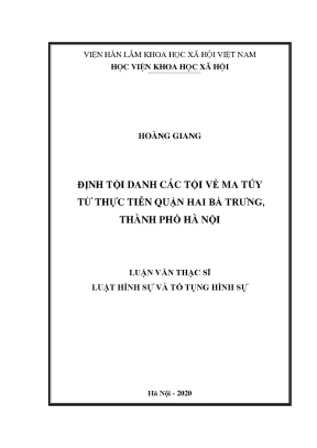 Nghiên cứu tội danh ma túy tại quận Hai Bà Trưng, Hà Nội