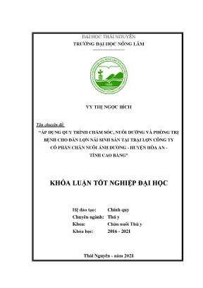 Chăm sóc và phòng trị bệnh cho lợn nái sinh sản tại trại 